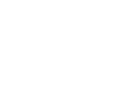 Befun Logo